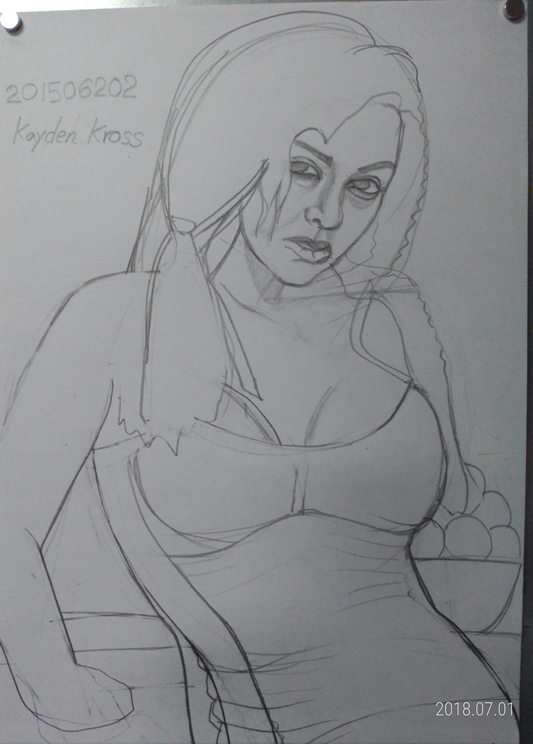 pencil sketch of Kayden Kross